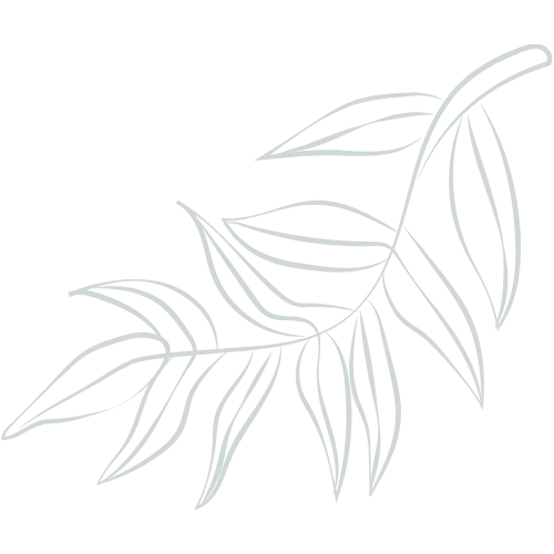 Illustration af blad til brug i design af massageklinik hjemmeside